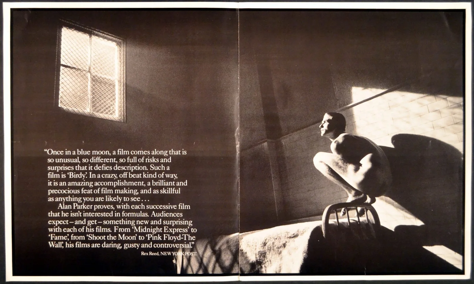BIRDY 1984 Matthew Modine, Nicolas Cage, Alan Parker William Wharton BROCHURE, изображение 2
