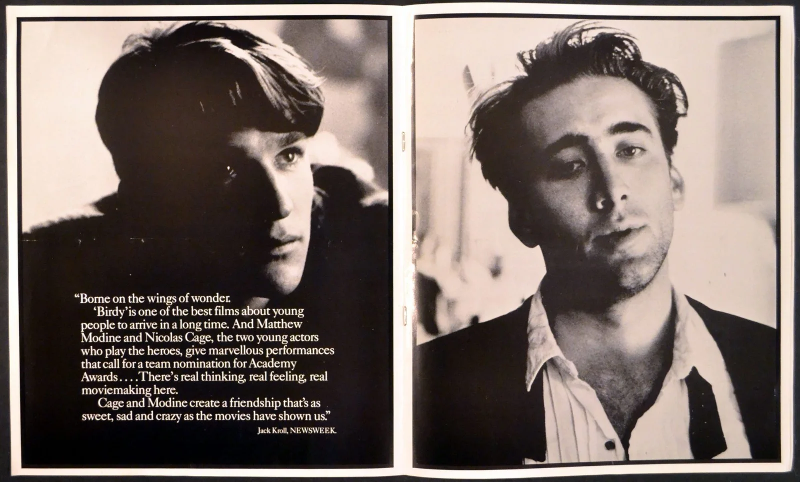 BIRDY 1984 Matthew Modine, Nicolas Cage, Alan Parker William Wharton BROCHURE, изображение 3