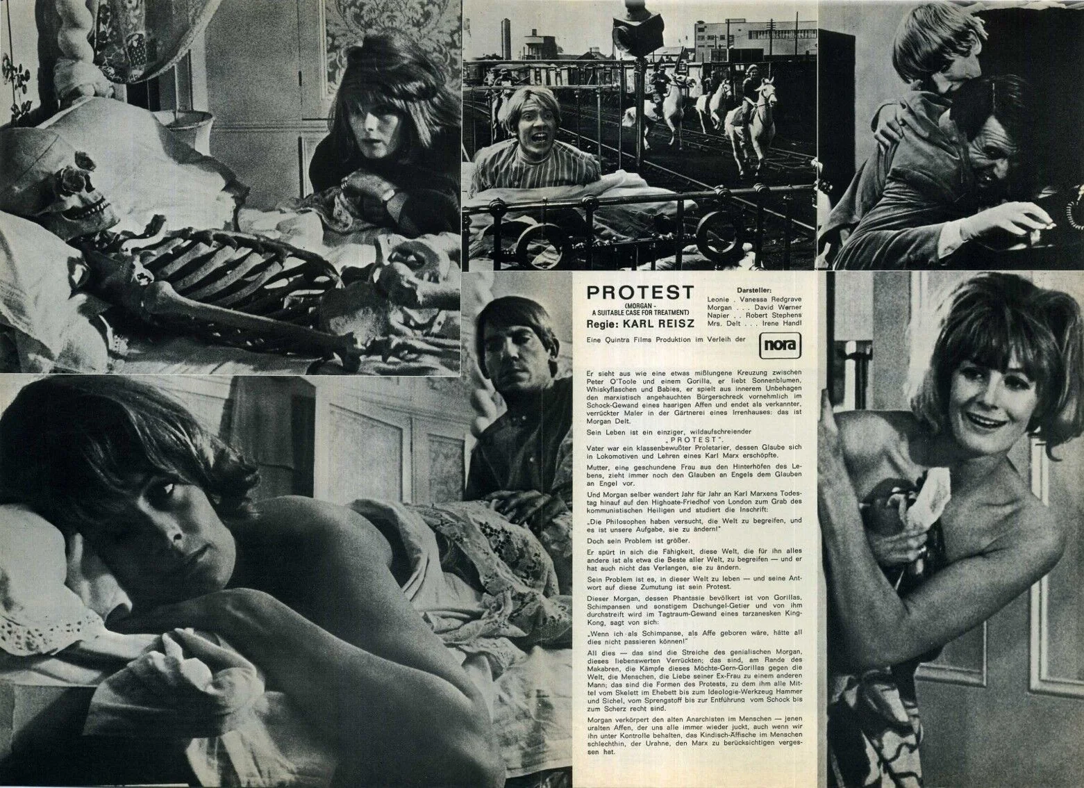 MORGAN 1966 Vanessa Redgrave, David Warner GERMAN BROCHURE, image 2