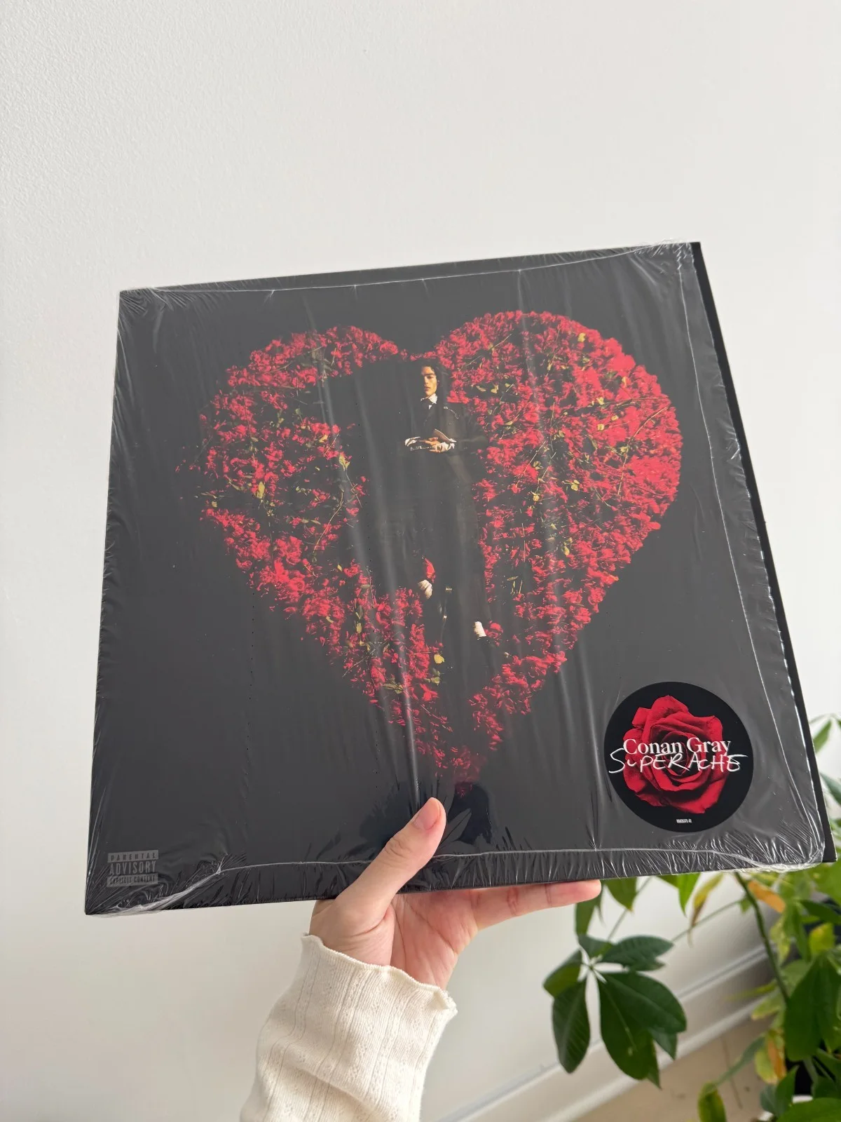 Conan Gray Autographed Vinyl LP Superache Red 12x12 Signed art card NEW SEALED, image 2