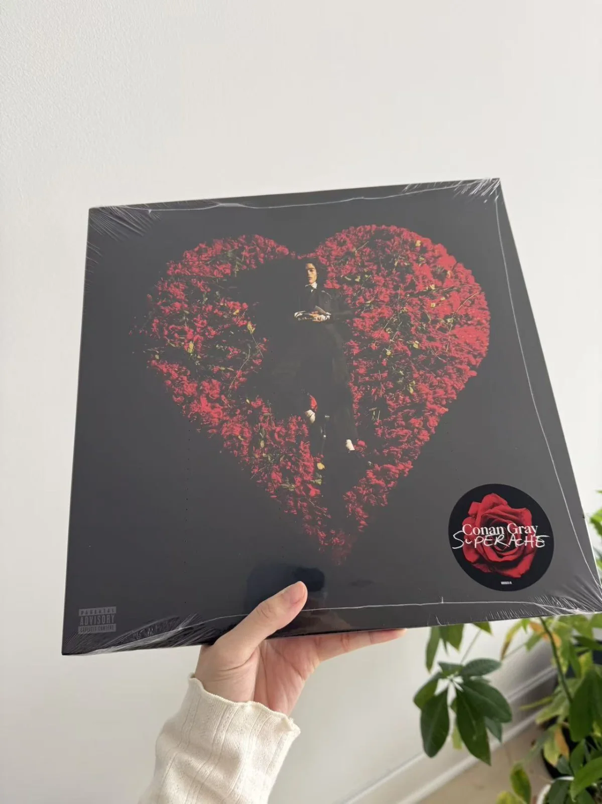Conan Gray Autographed Vinyl LP Superache Red 12x12 Signed art card NEW SEALED, image 4