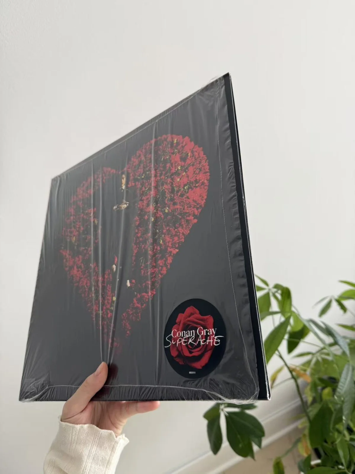 Conan Gray Autographed Vinyl LP Superache Red 12x12 Signed art card NEW SEALED, image 5