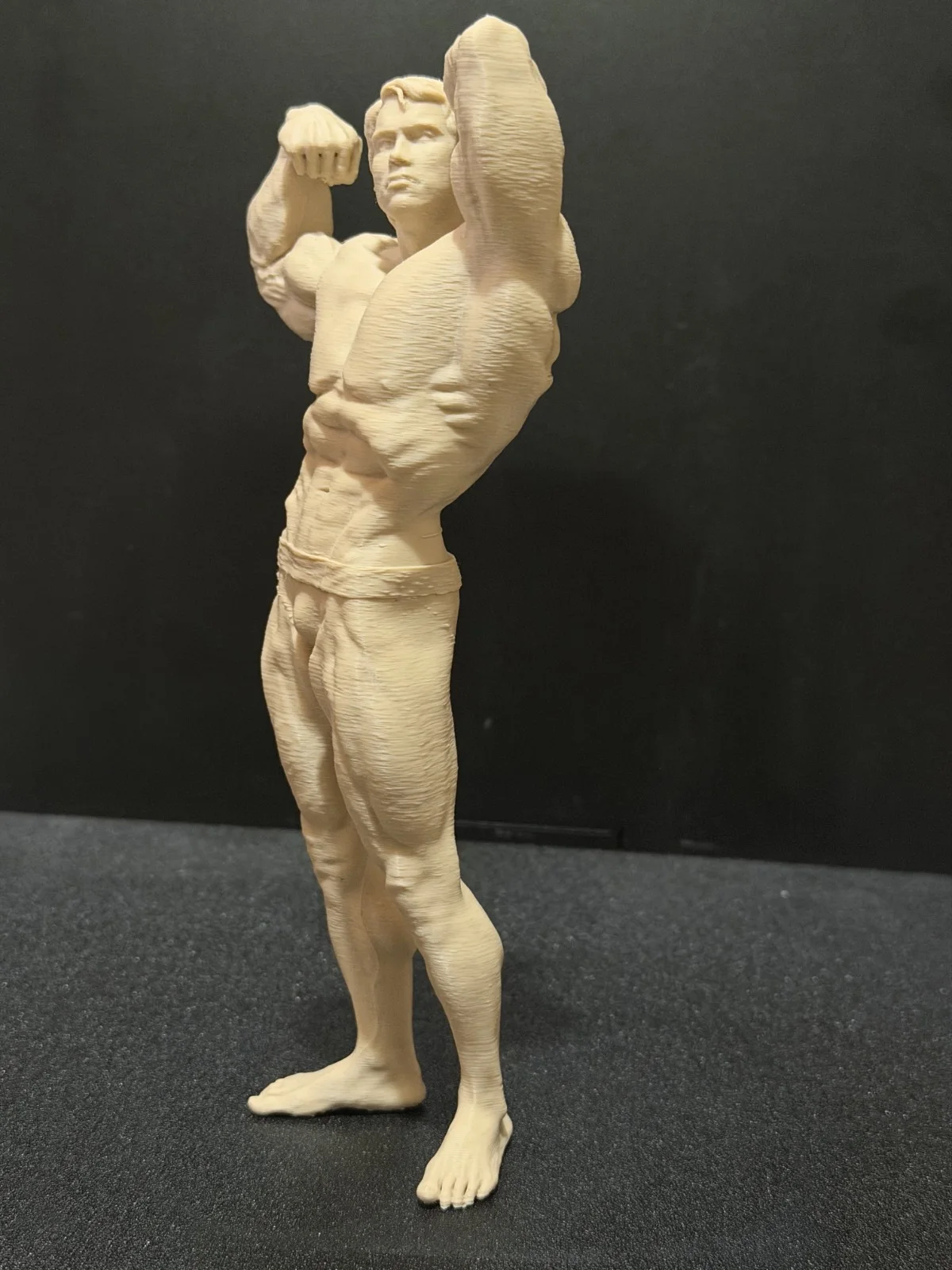 Arnold Alois Schwarzenegger bust 200mm The Bodybuilder Film Actor Statuette, изображение 2