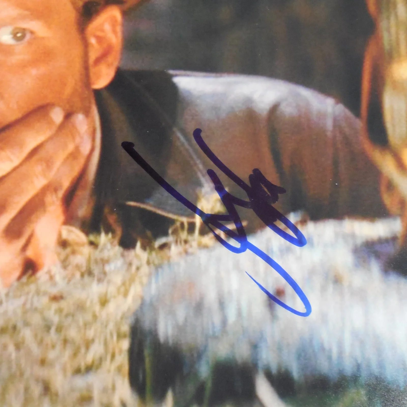 HARRISON FORD — AUTHENTIC HARRISON FORD AUTOGRAPHED SIGNED INDIANA JONES 11X14 PHOTO PSA LOA, image 2