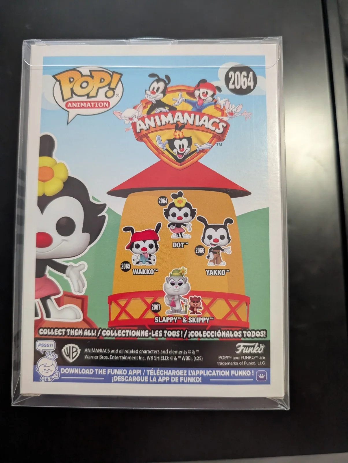 Dot from ANIMANIACS Funko Pop Signed by Tress MacNeille w/ Quote: “Dot” OCCM COA, изображение 5