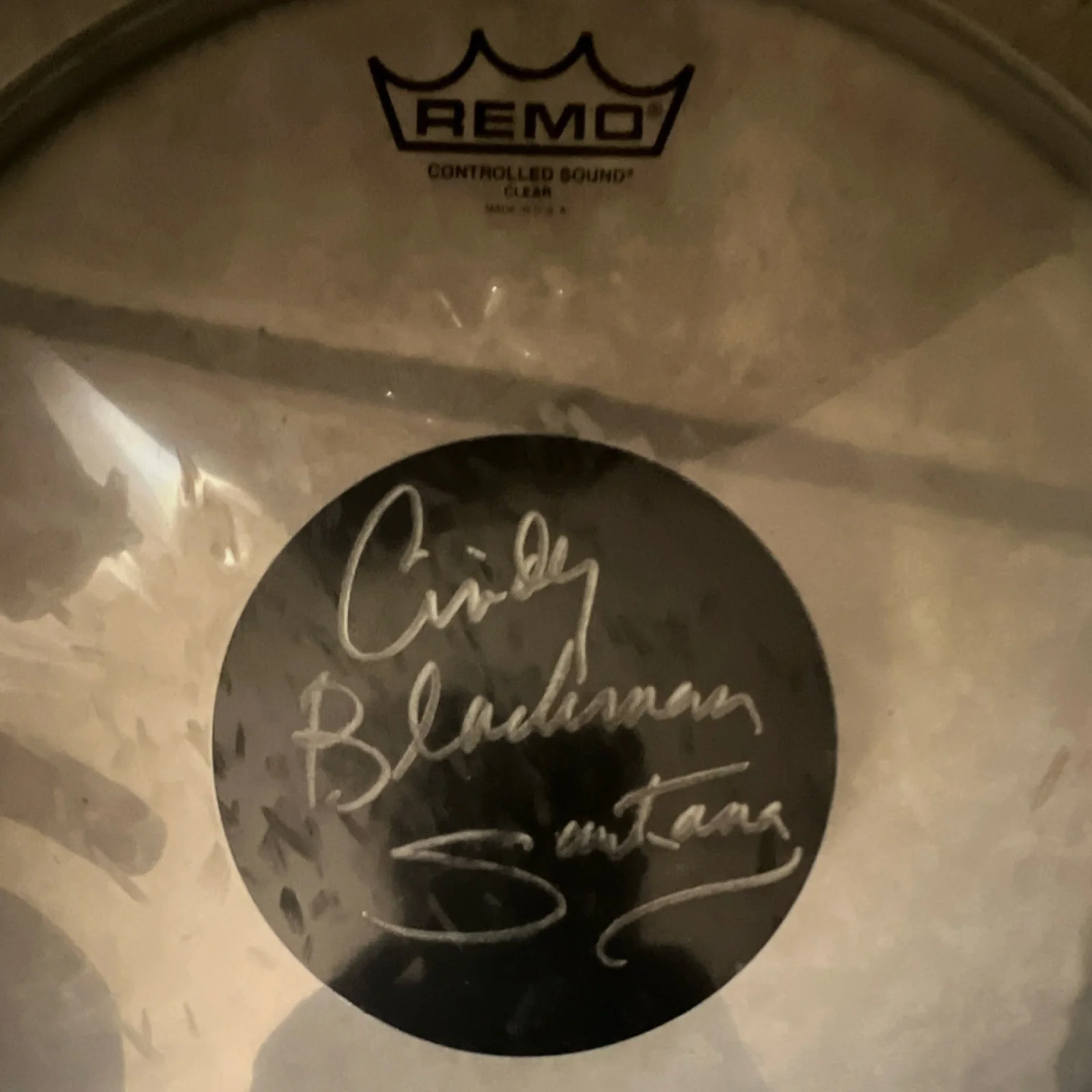 Remo Drumhead Signed by Cindy Blackman Santana Original Autographed, image 2