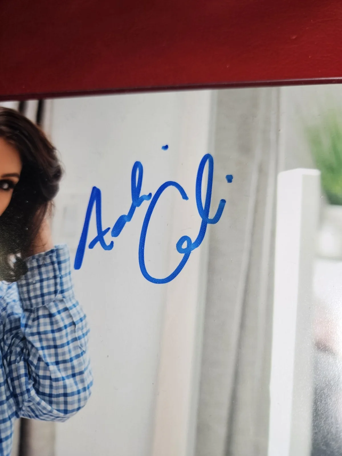 Adriana Chechik — Adriana Chechik Signed 8x10 Photo Adult Star Autographed JSA COA, изображение 3