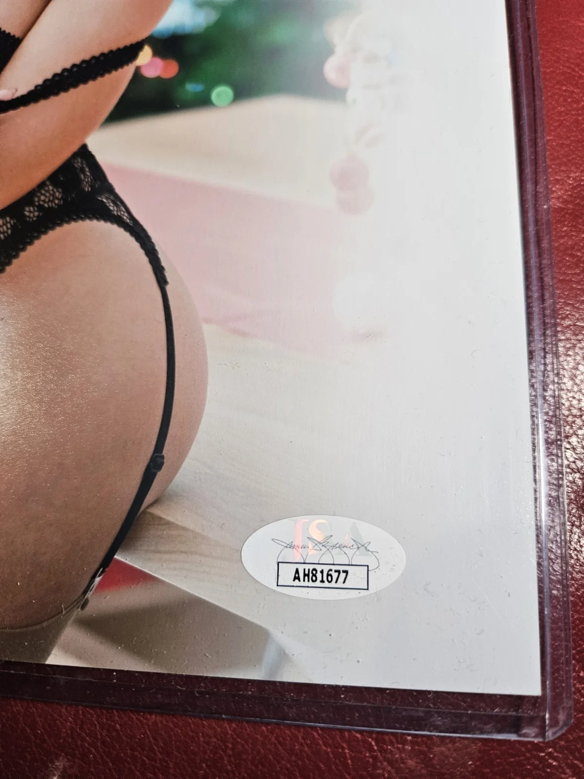 Adriana Chechik — Adriana Chechik Signed 8x10 Photo Adult Star Autographed JSA COA, изображение 2