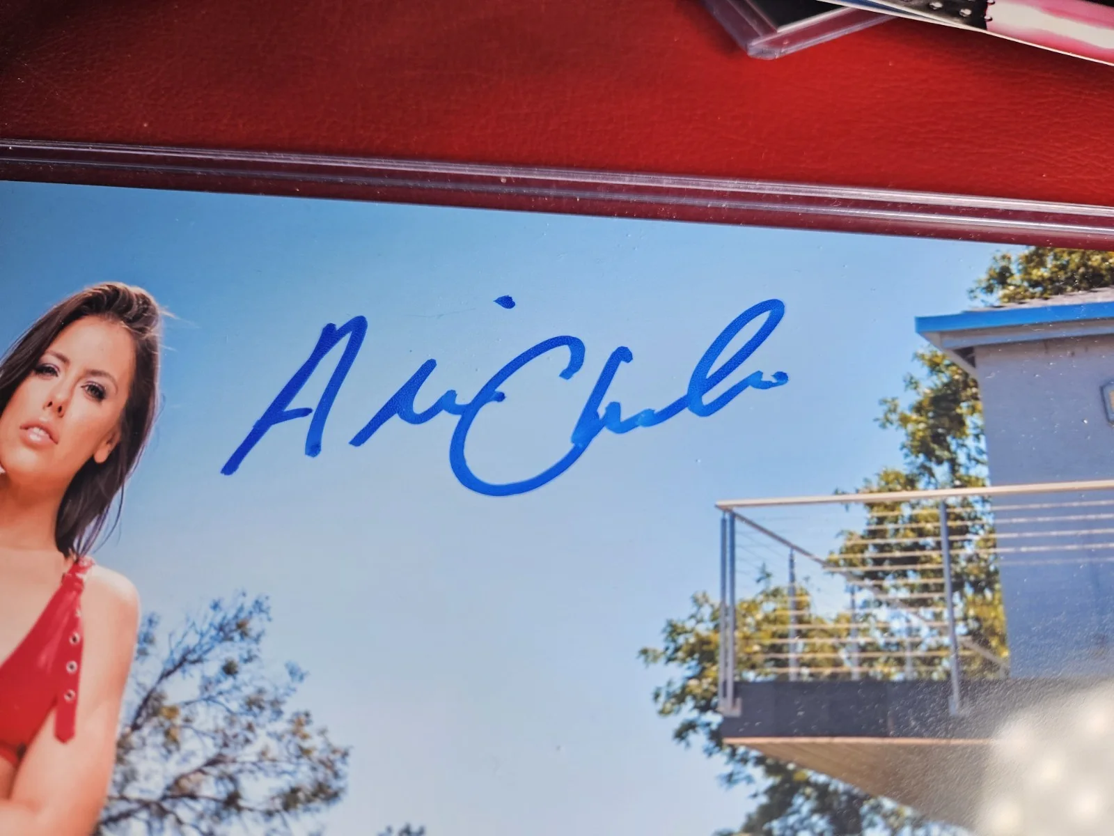 Adriana Chechik — Adriana Chechik Signed 8x10 Photo Adult Star Autographed JSA COA, изображение 3