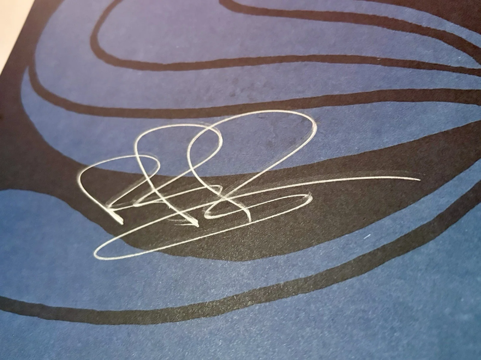 Fleet Foxes Autographed Flat 🎤🎸 years of shore ROBIN PECKNOLD, image 2