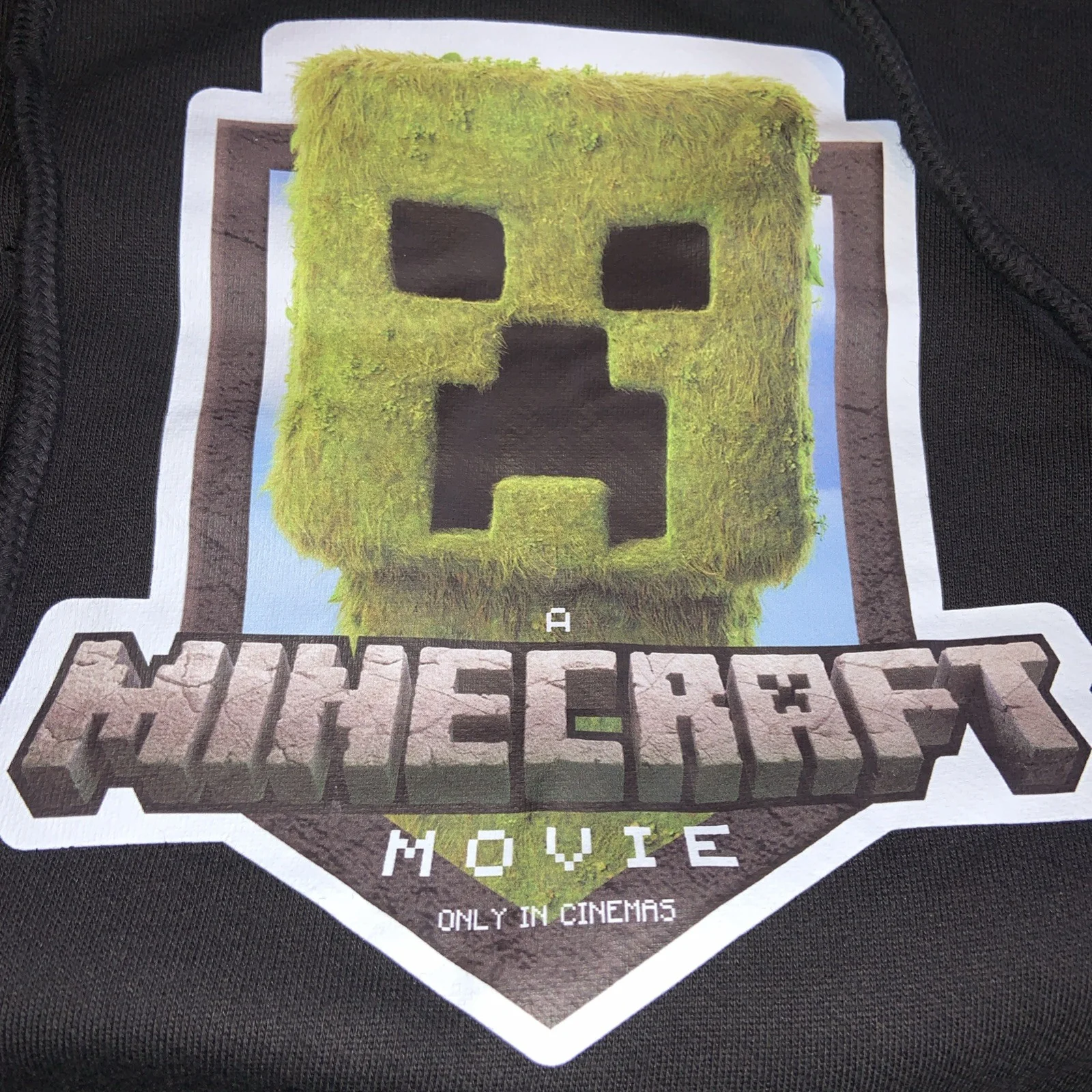 A Minecraft Movie Rare Press Kit Hoodie Size Medium, изображение 2