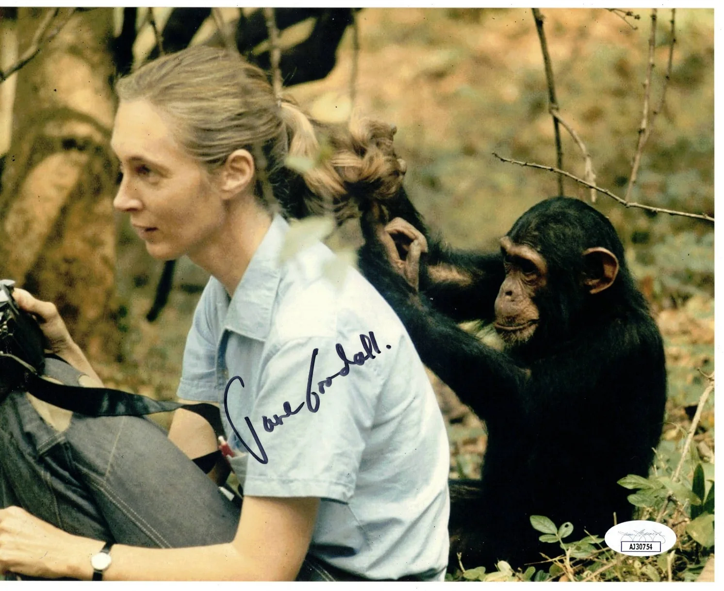 Jane Goodall Authentic Signed 8x10 Photo Autograph, Primatologist, JSA COA, image 2