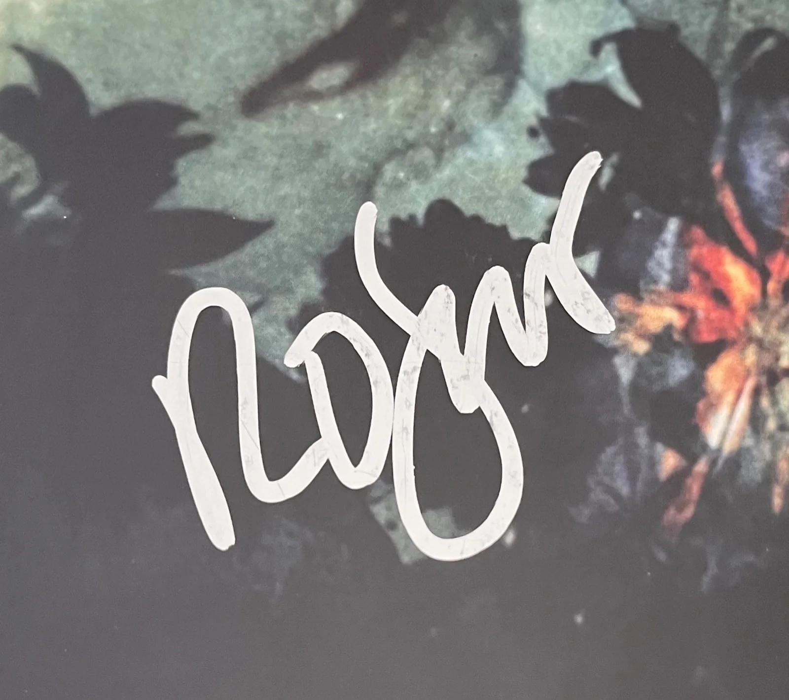 Robert Smith Signed The Cure Disintegration Vinyl Record JSA LOA ZZ61309, image 5