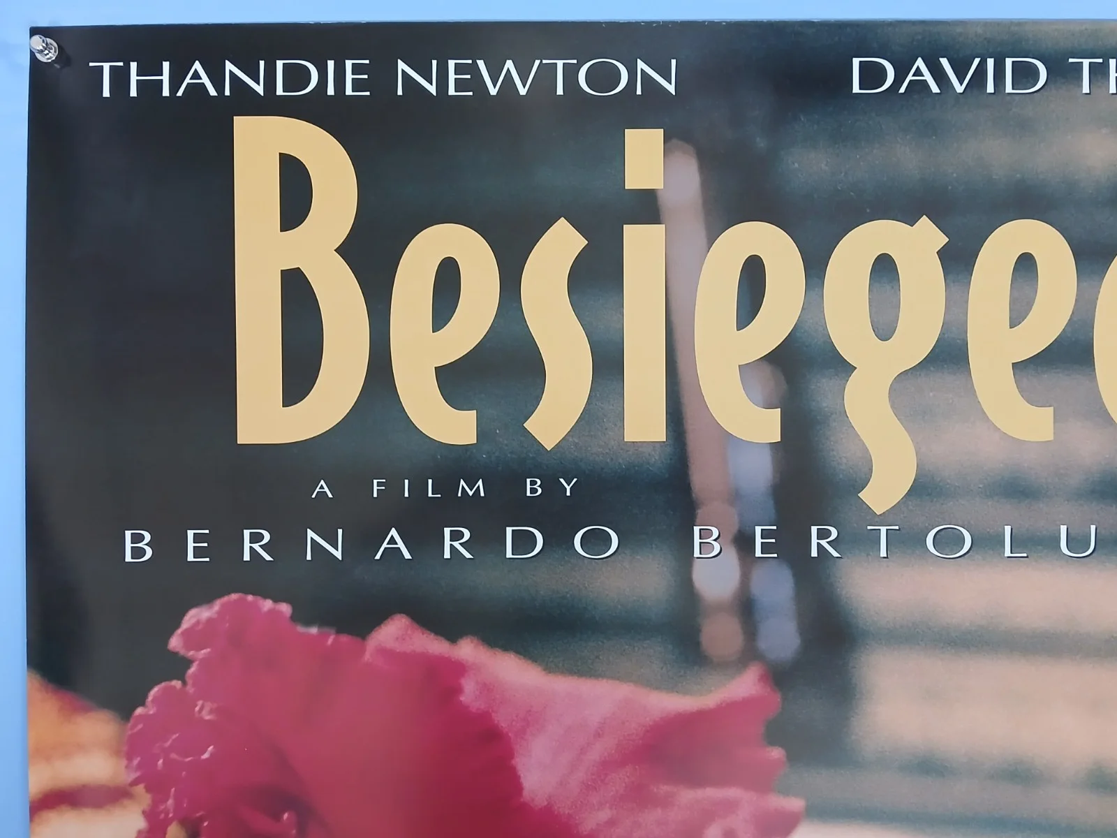 BESIEGED (1999) original UK quad poster - Thandie Newton, Bertolucci, изображение 2