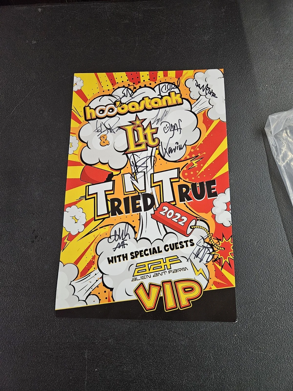 Hoobastank Lit Alien Ant Farm Signed Poster + VIP Pass 2022 Tried N True Tour..., image 2