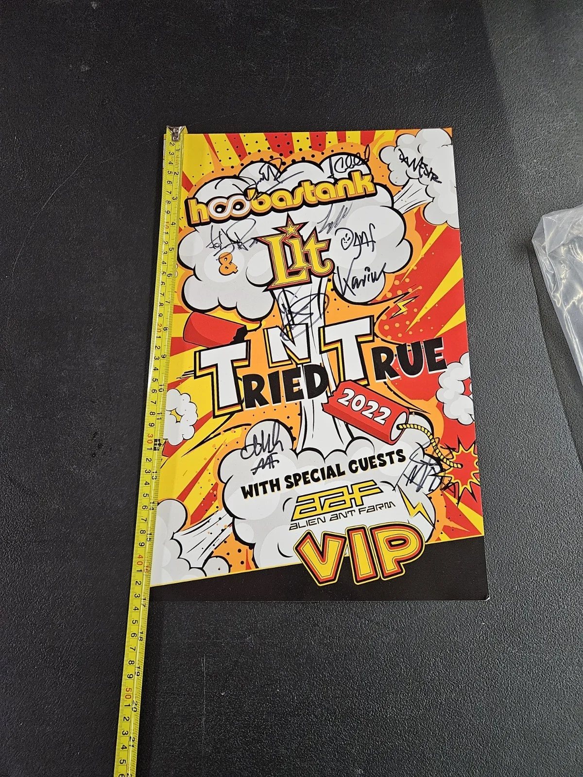 Hoobastank Lit Alien Ant Farm Signed Poster + VIP Pass 2022 Tried N True Tour..., image 3