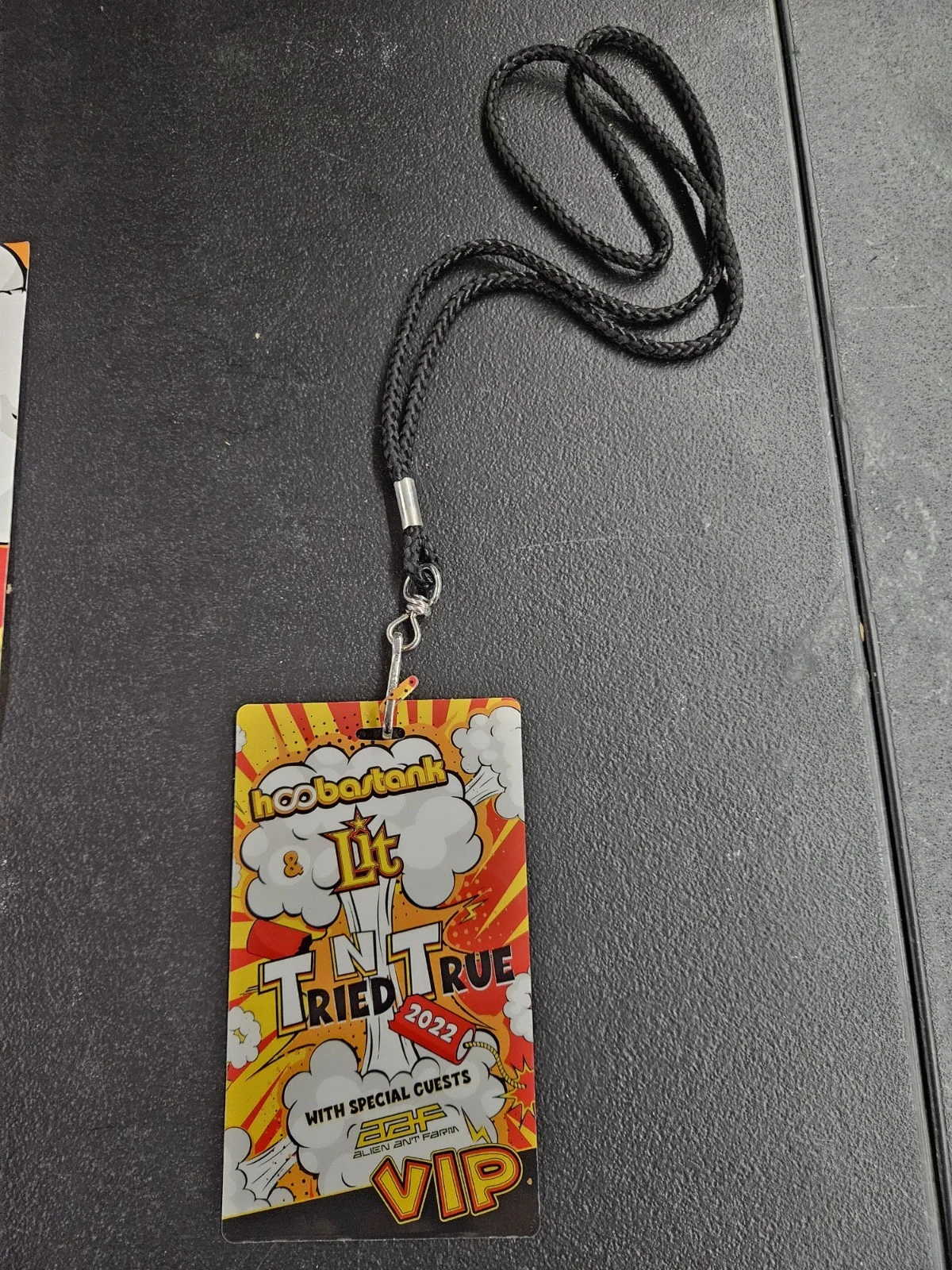 Hoobastank Lit Alien Ant Farm Signed Poster + VIP Pass 2022 Tried N True Tour..., image 4
