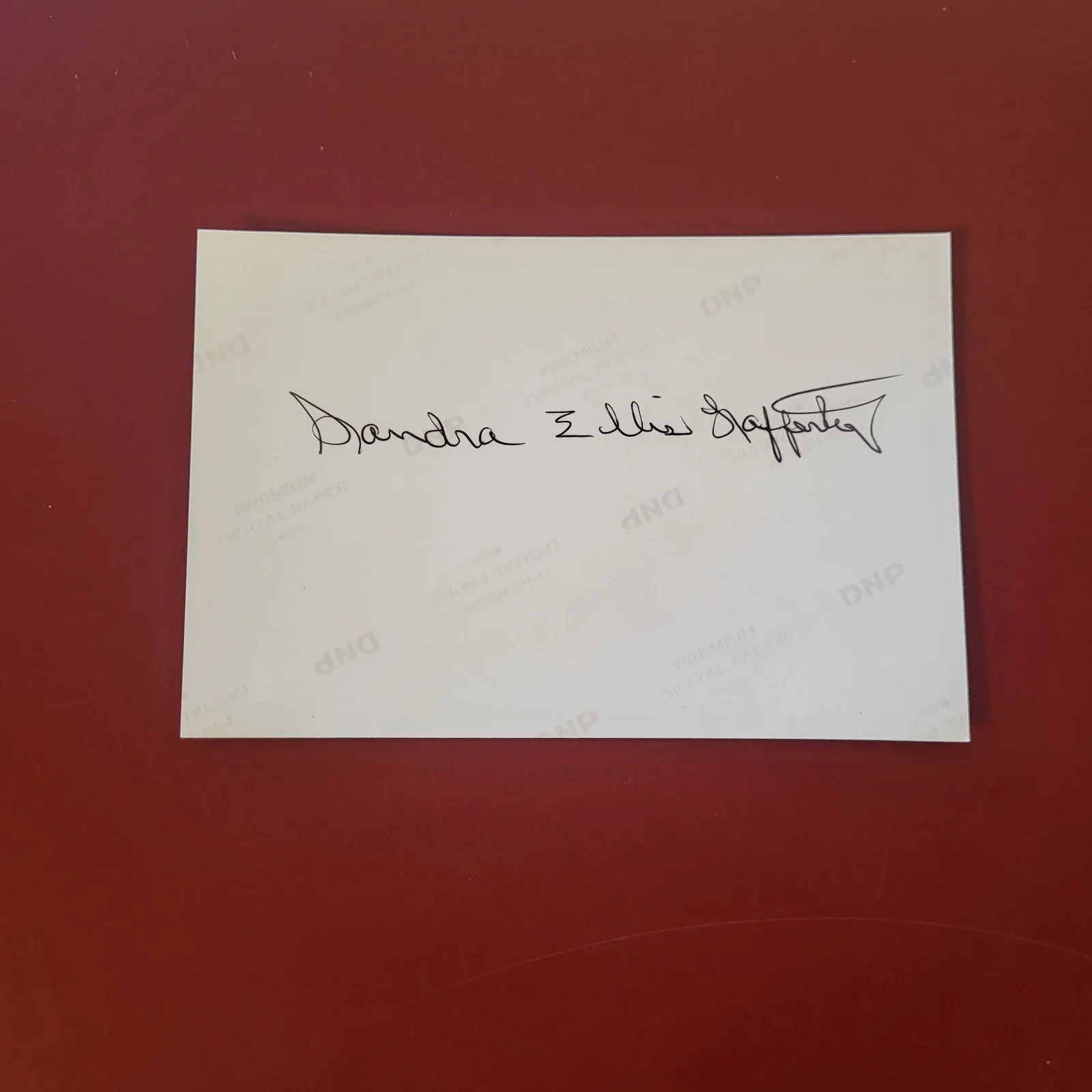 Sandra Ellis Lafferty — Sandra Ellis Lafferty New Nightmare On Elm Street Hand Signed 4x6 Autograph, image 3
