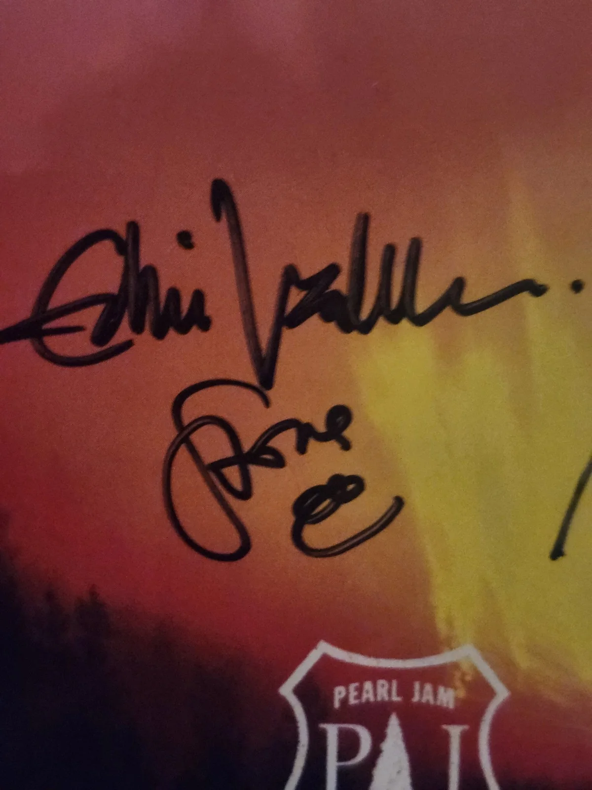 PEARL JAM RECORD SIGNED ENTIRE BAND. JSA. EDDIE VEDDER. RARE. 2002., изображение 3