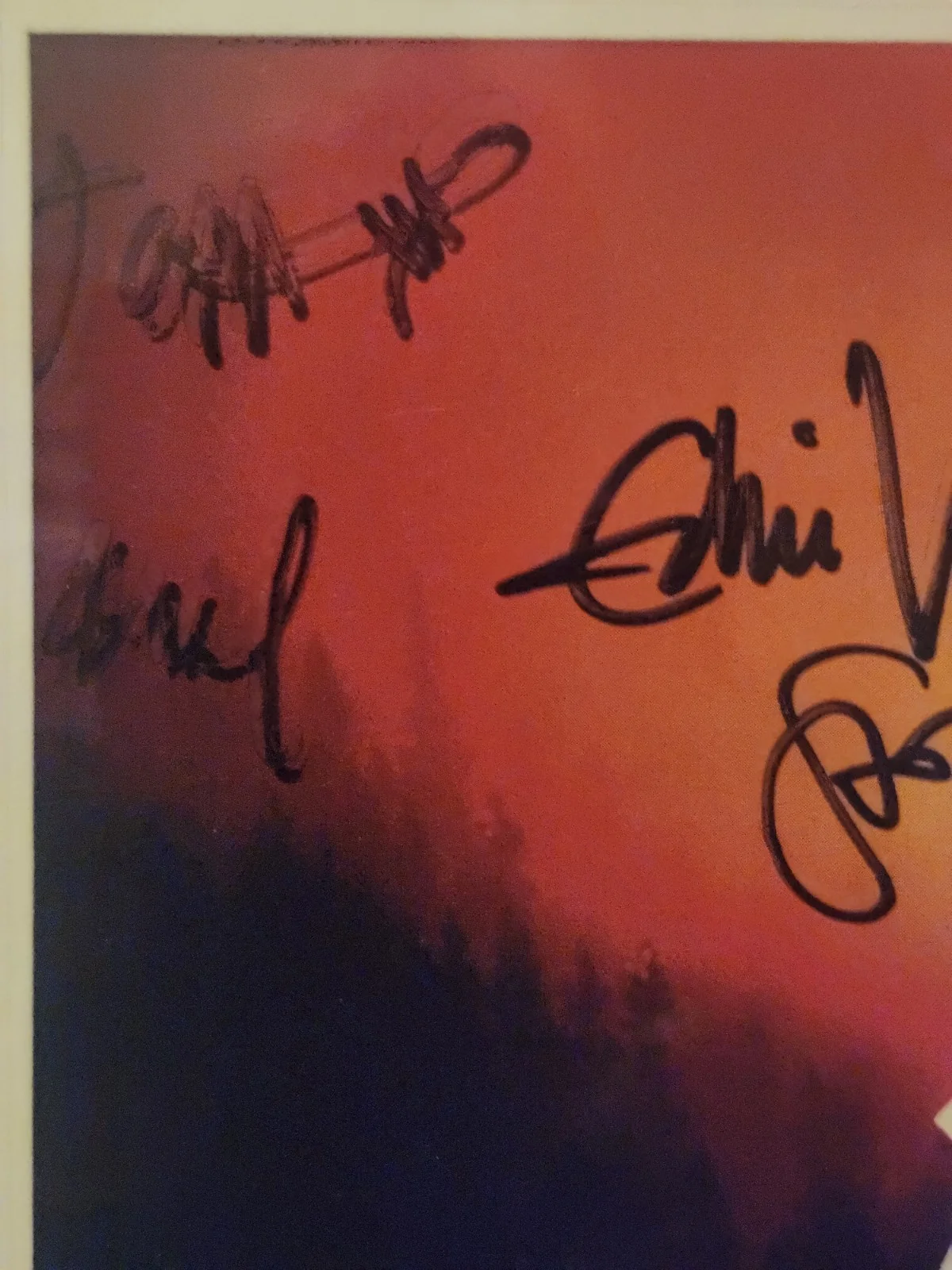 PEARL JAM RECORD SIGNED ENTIRE BAND. JSA. EDDIE VEDDER. RARE. 2002., изображение 4
