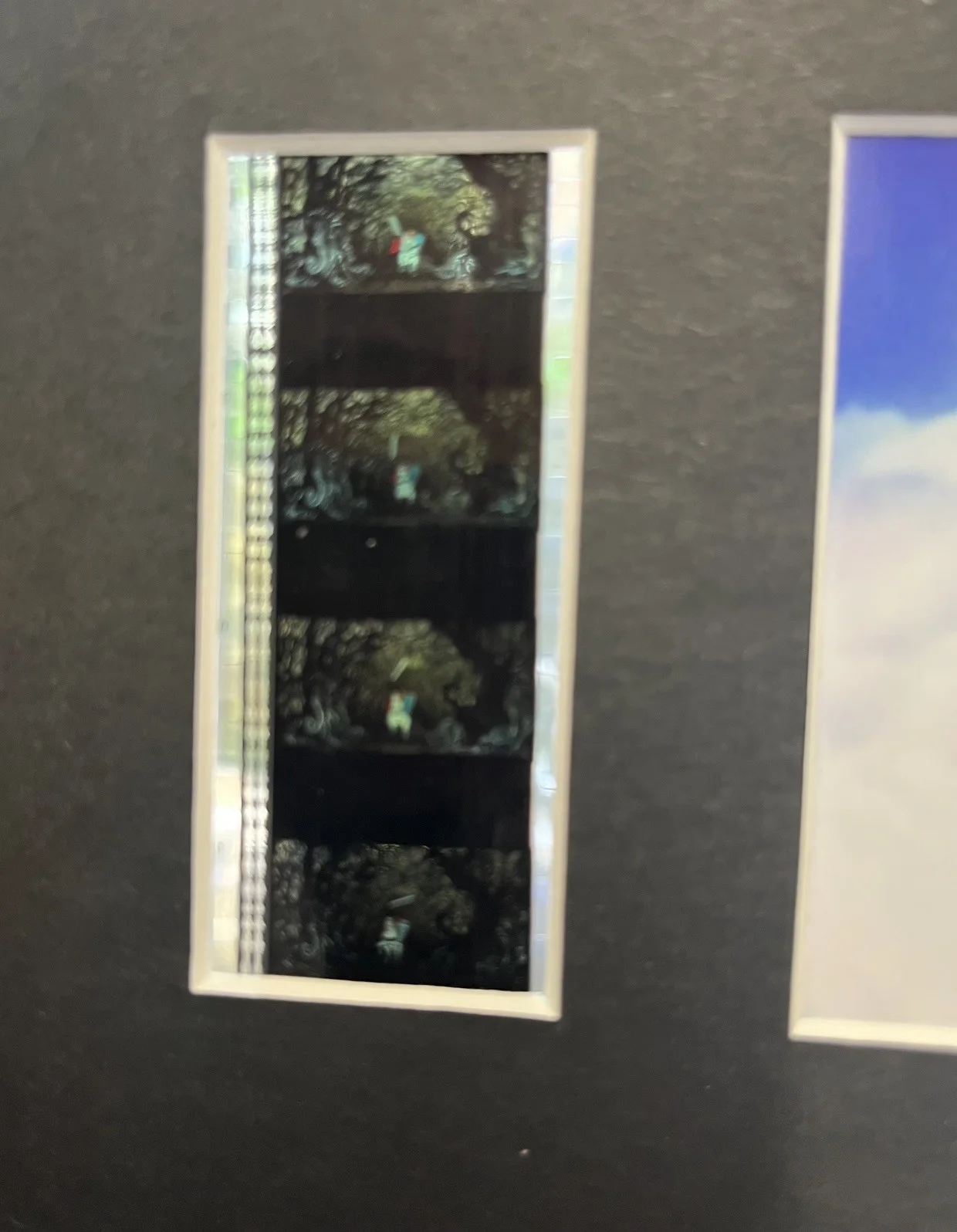 SLEEPING BEAUTY . 35mm Film Cell Mounted Display, image 3
