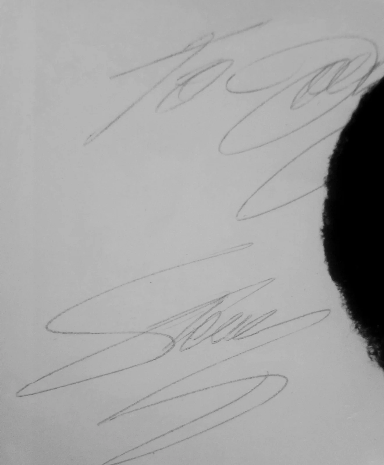 Vintage-Stevie Wonder Signed8x10 Photo Motown Legend Beverly Hills Mercedes Prov, изображение 4