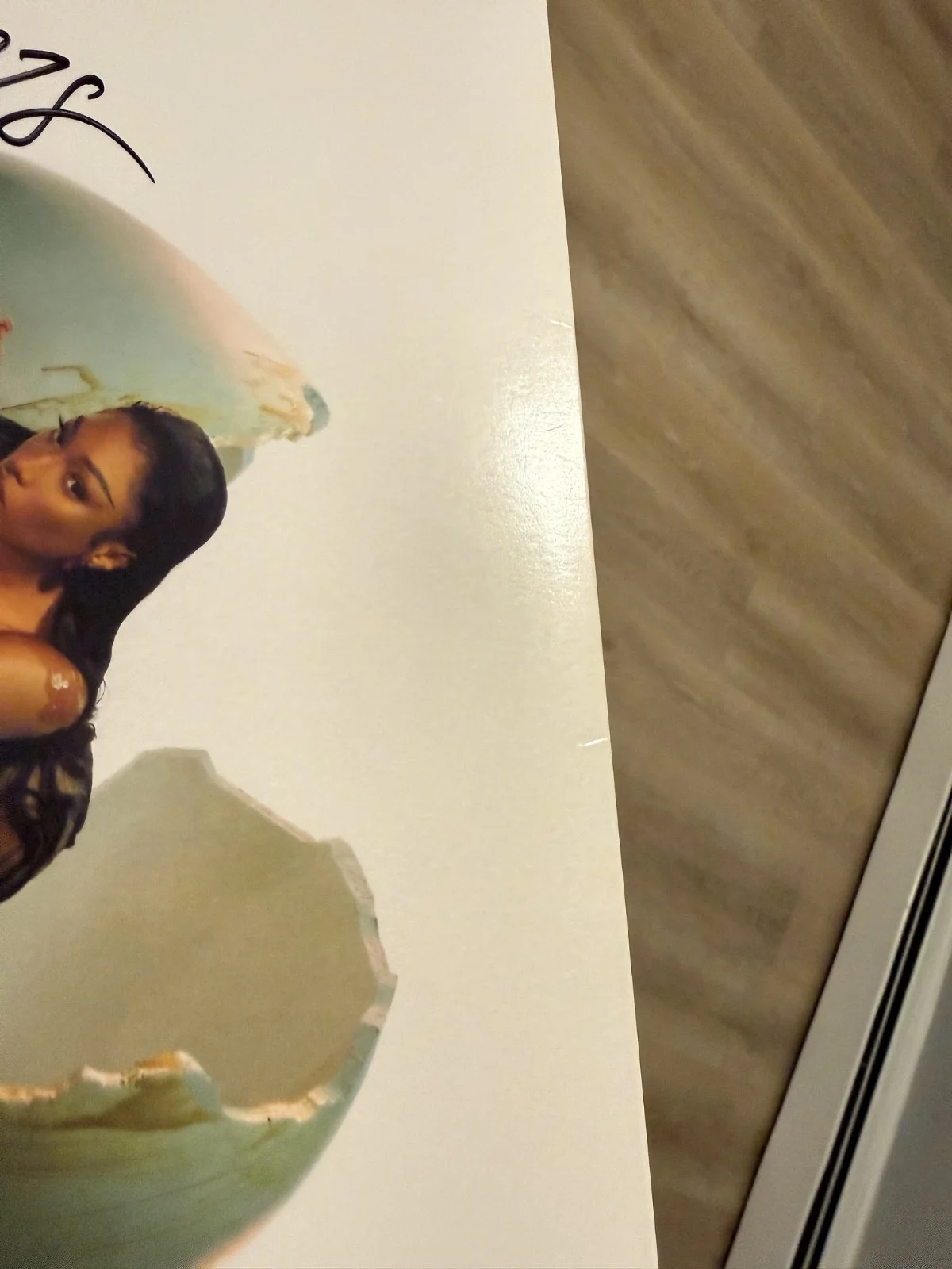 Megan Thee Stallion signed Megan 12" album lp COLORED VINYL, изображение 3