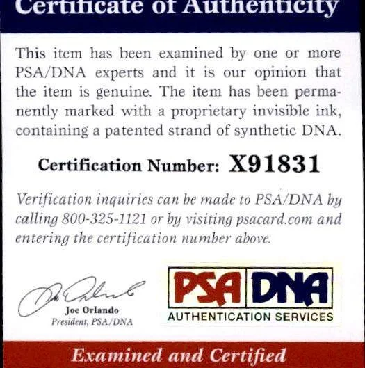 Tom Dumont — No Doubt Tom Dumont PSA/DNA authentic signed 10X15 photo |CERT Autograph A0024, изображение 2