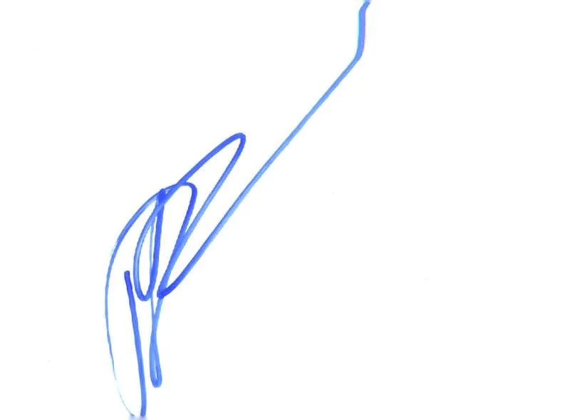 David Banner — David Banner authentic signed rap Notecard W/Certificate Autographed (A0015)