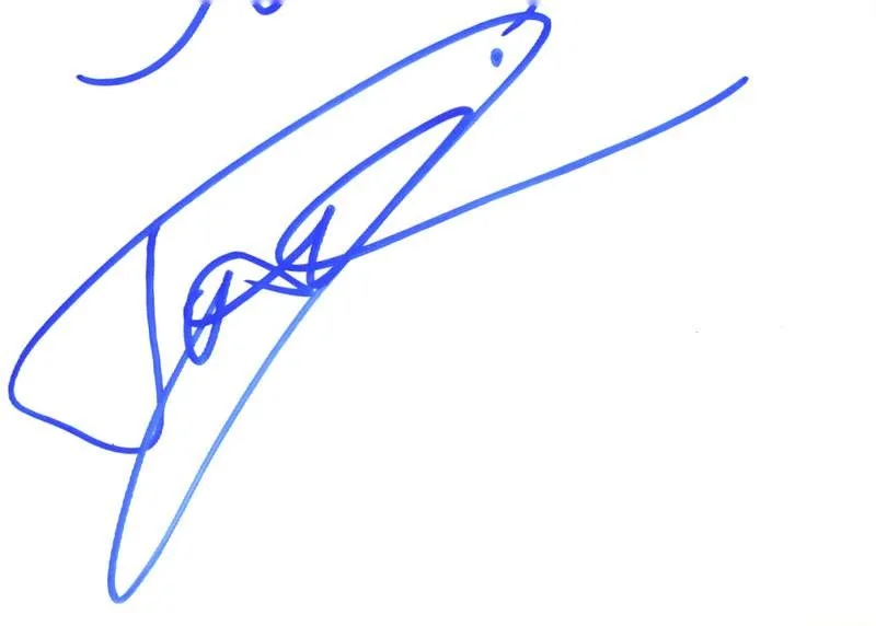 David Banner — David Banner authentic signed rap Notecard W/Certificate Autographed (A0014)