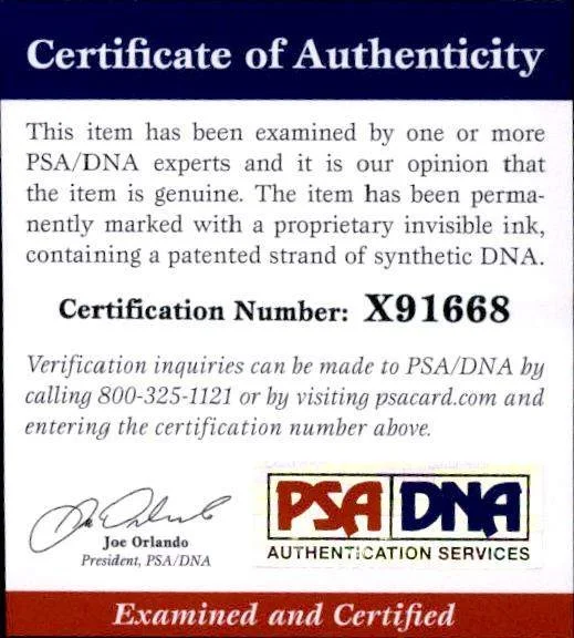 Kristen Wiig — Kristen Wiig PSA/DNA authentic signed 8x10 photo |CERT Autographed B00004, изображение 2