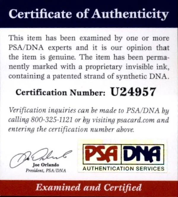 Ethan Hawk — Ethan Hawk authentic signed 10x15 photo W/ PSA Certificate Autographed 2616P1, изображение 2