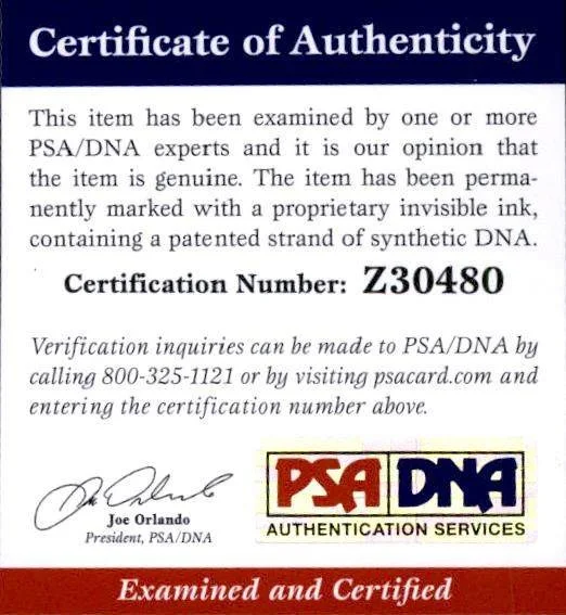 Lily James — Lily James PSA/DNA authentic signed celebrity 10x15 photo W/Cert Autographed A1, изображение 2