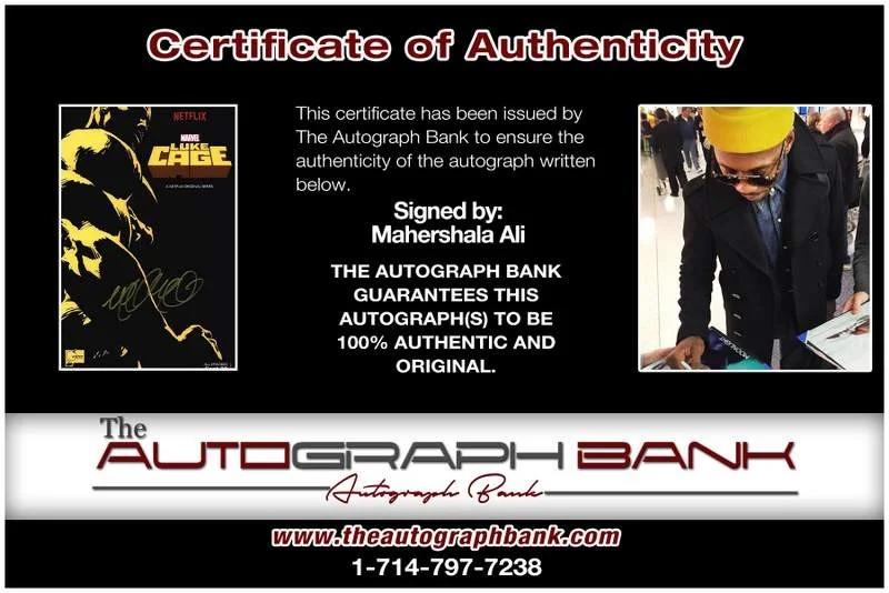 Mahershala Ali — Mahershala Ali authentic signed celebrity 10x15 photo W/Cert Autographed A0001, image 2