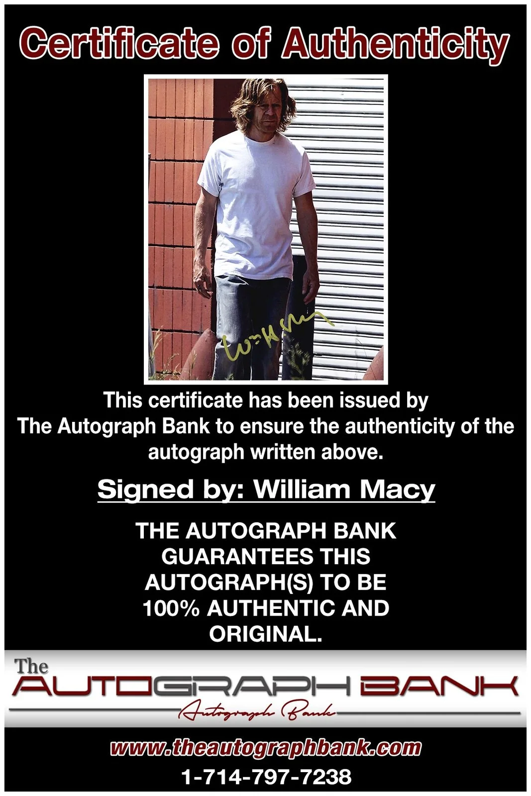 William Macy — William Macy authentic signed celebrity 8x10 photo W/Cert Autographed A3, image 2