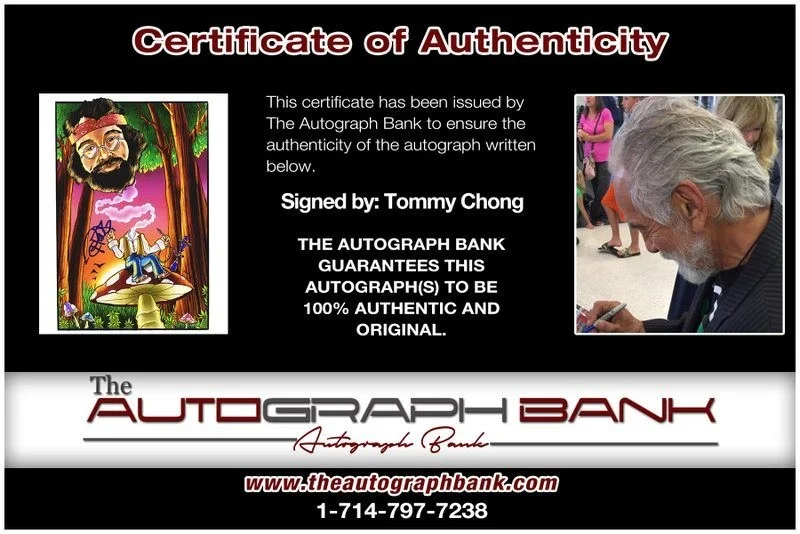 Tommy Chong — Tommy Chong authentic signed celebrity 8x10 photo W/Cert Autographed D31, изображение 2