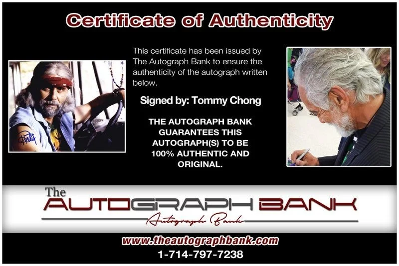 Tommy Chong — Tommy Chong authentic signed celebrity 8x10 photo W/Cert Autographed D47, изображение 2