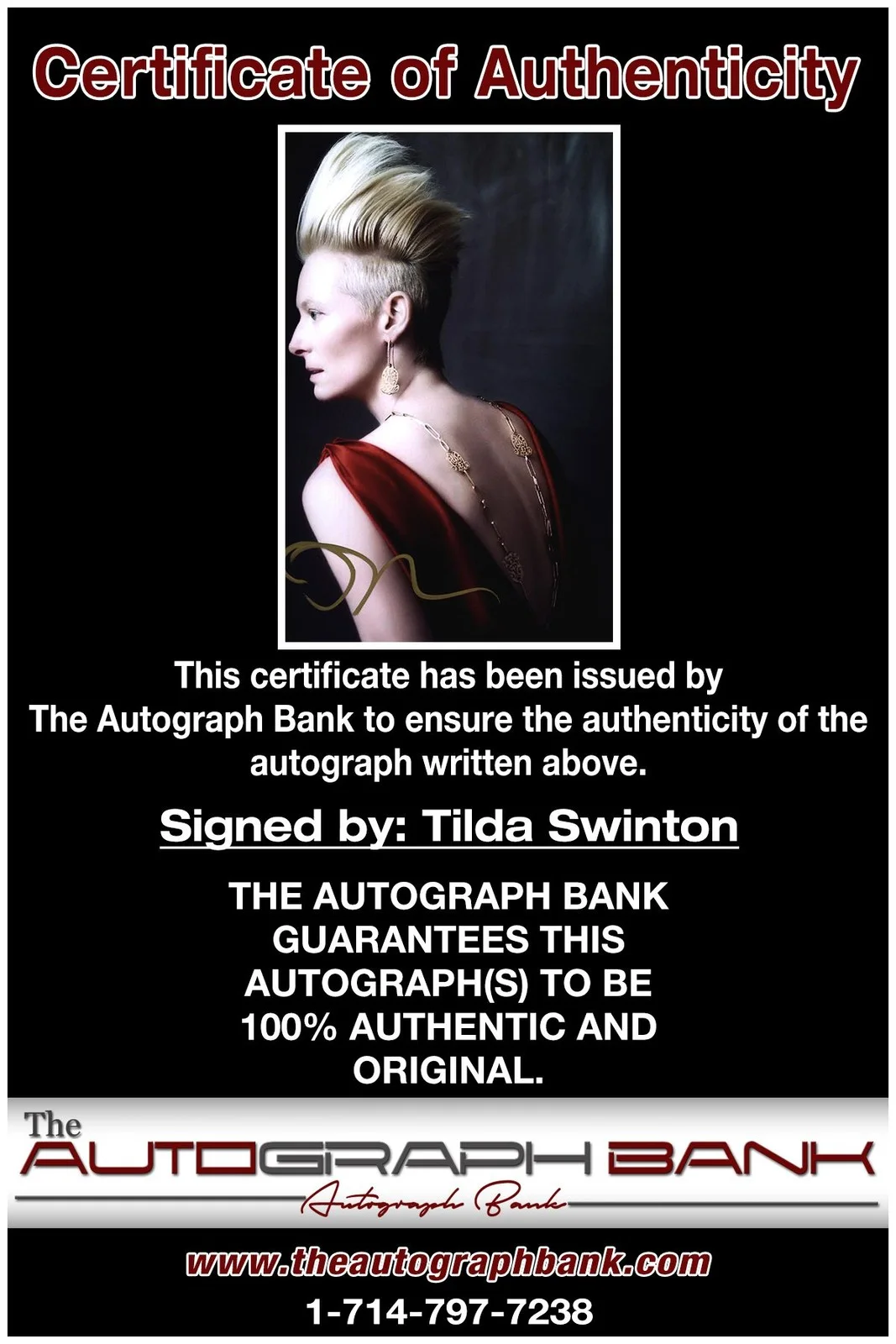 Tilda Swinton — Tilda Swinton authentic signed celebrity 8x10 photo W/Cert Autographed A1, изображение 2