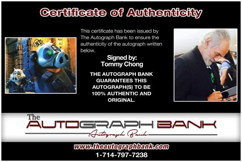 Tommy Chong — Tommy Chong authentic signed celebrity 8x10 photo W/Cert Autographed B0002, изображение 2