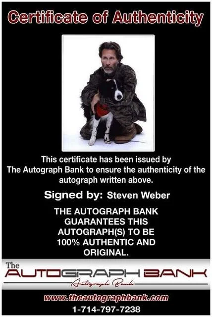 Steven Weber — Steven Weber authentic signed celebrity 8x10 photo W/Cert Autographed (B0720), изображение 2