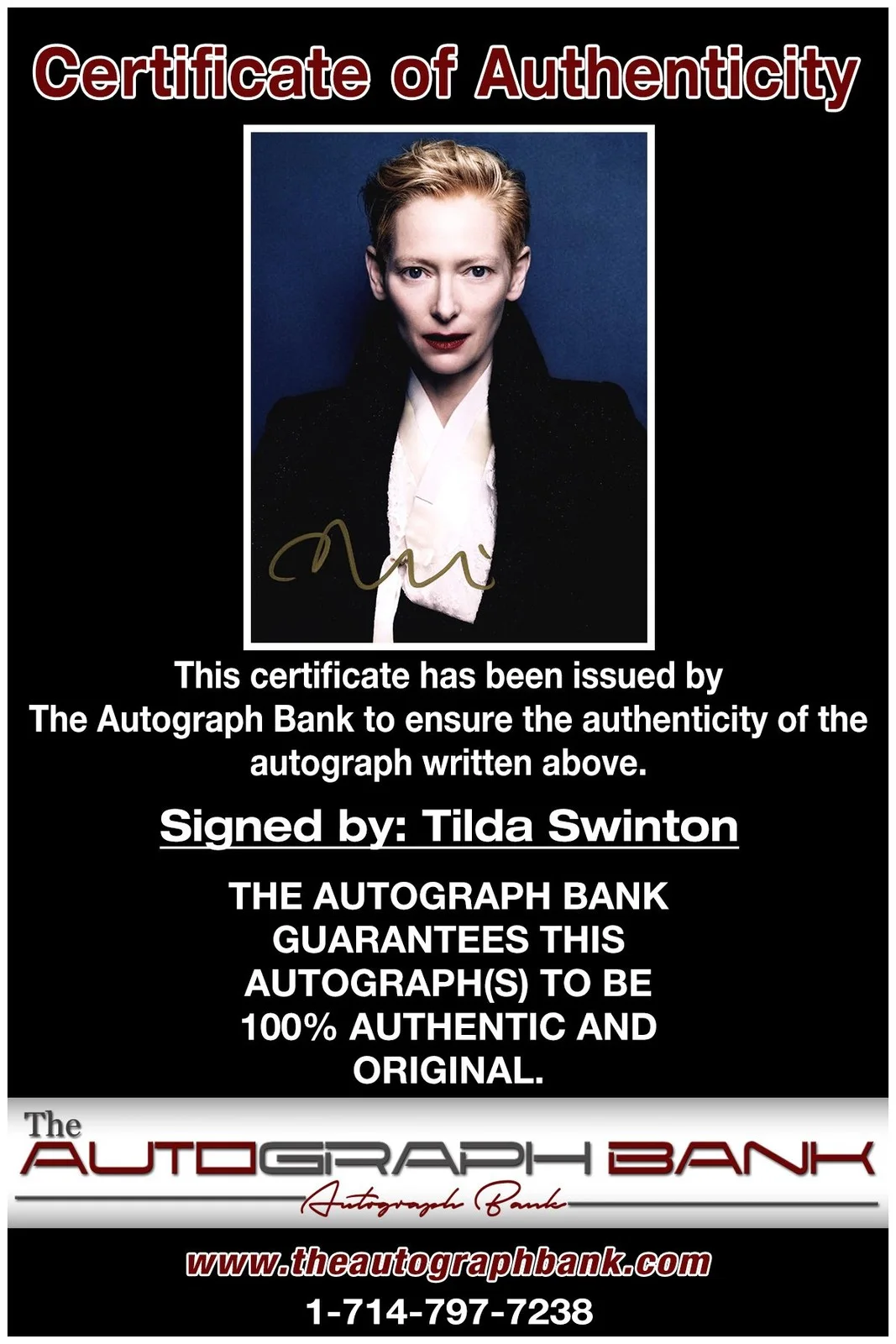 Tilda Swinton — Tilda Swinton authentic signed celebrity 8x10 photo W/Cert Autographed A2, изображение 2