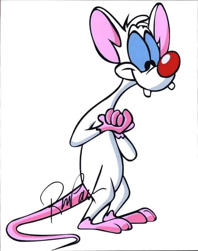 Rob Paulsen — Rob Paulsen signed celebrity 8x10 photo W/Certificate (C6)