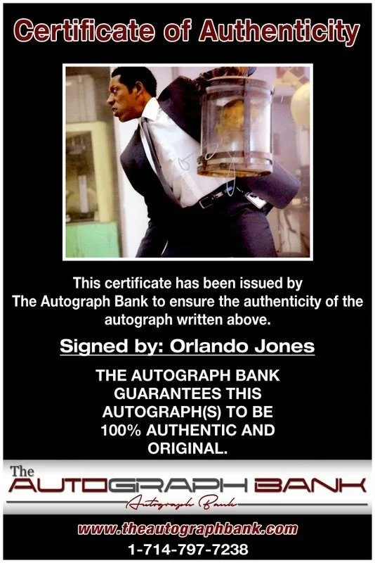 Orlando Jones — Orlando Jones authentic signed celebrity 8x10 photo W/Cert Autographed C12, изображение 2