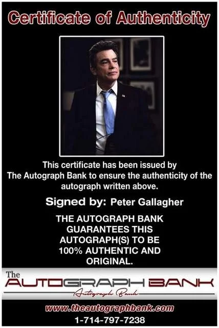 Peter Gallagher — Peter Gallagher authentic signed celebrity 8x10 photo W/Cert Autographed (B0560), image 2