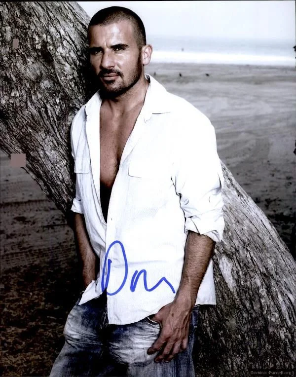 Dominic Purcell — Dominic Purcell authentic signed celebrity 8x10 photo W/Cert Autographed 2616e