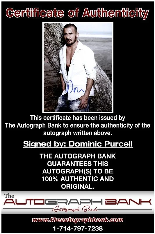 Dominic Purcell — Dominic Purcell authentic signed celebrity 8x10 photo W/Cert Autographed 2616e, изображение 2
