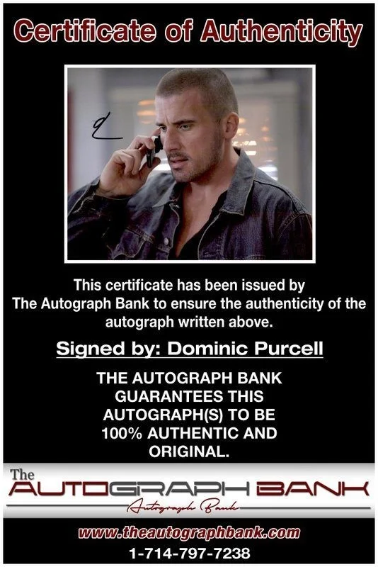 Dominic Purcell — Dominic Purcell authentic signed celebrity 8x10 photo W/Cert Autographed C6, изображение 2
