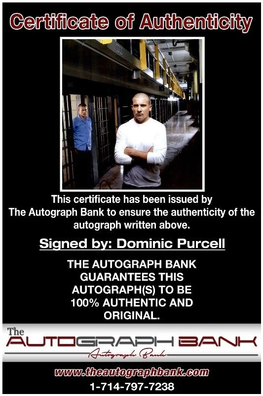 Dominic Purcell — Dominic Purcell authentic signed celebrity 8x10 photo W/Cert Autographed 2616b, изображение 2