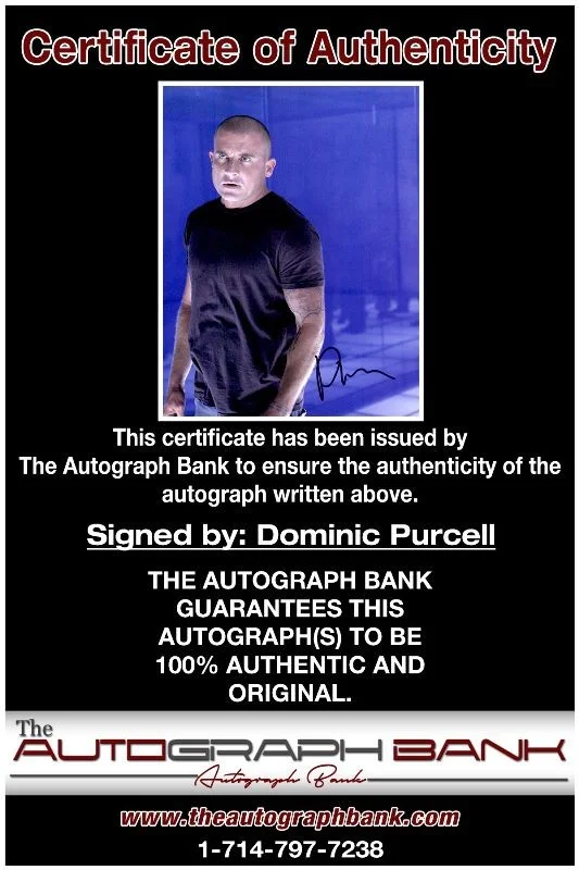 Dominic Purcell — Dominic Purcell authentic signed celebrity 8x10 photo W/Cert Autographed 2616c, изображение 2