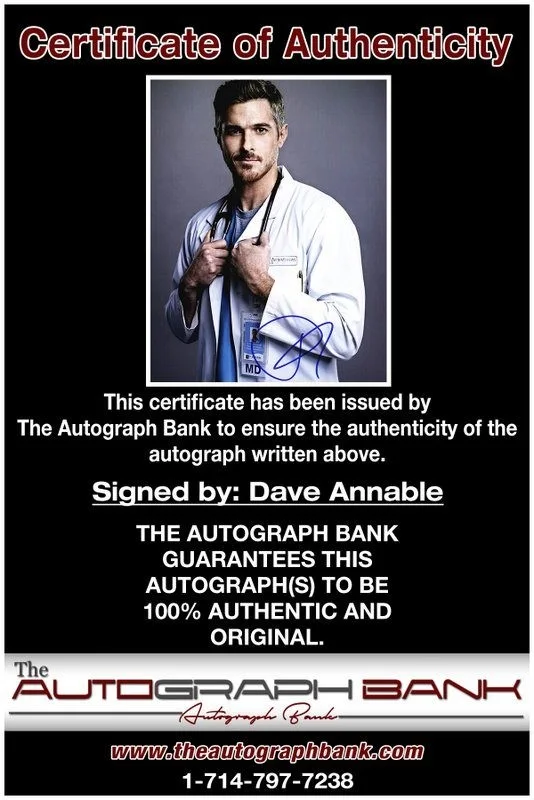 Dave Annable — Dave Annable authentic signed celebrity 8x10 photo W/Cert Autographed D8, image 2